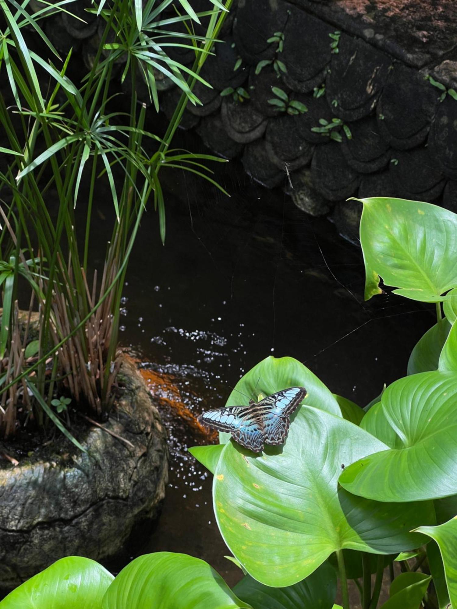 Baan Ton Rak Boutique Resort Koh Chang Esterno foto